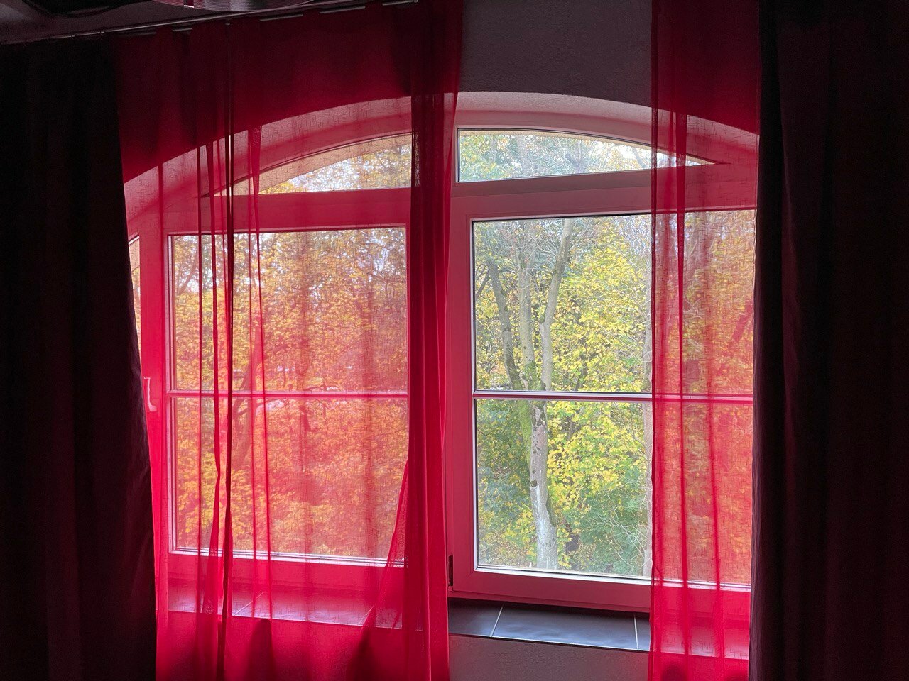 Хостел Ганза Калининград-39